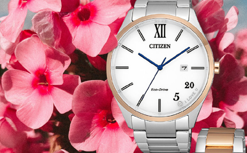 上海市西鐵城手表維修服務(wù)